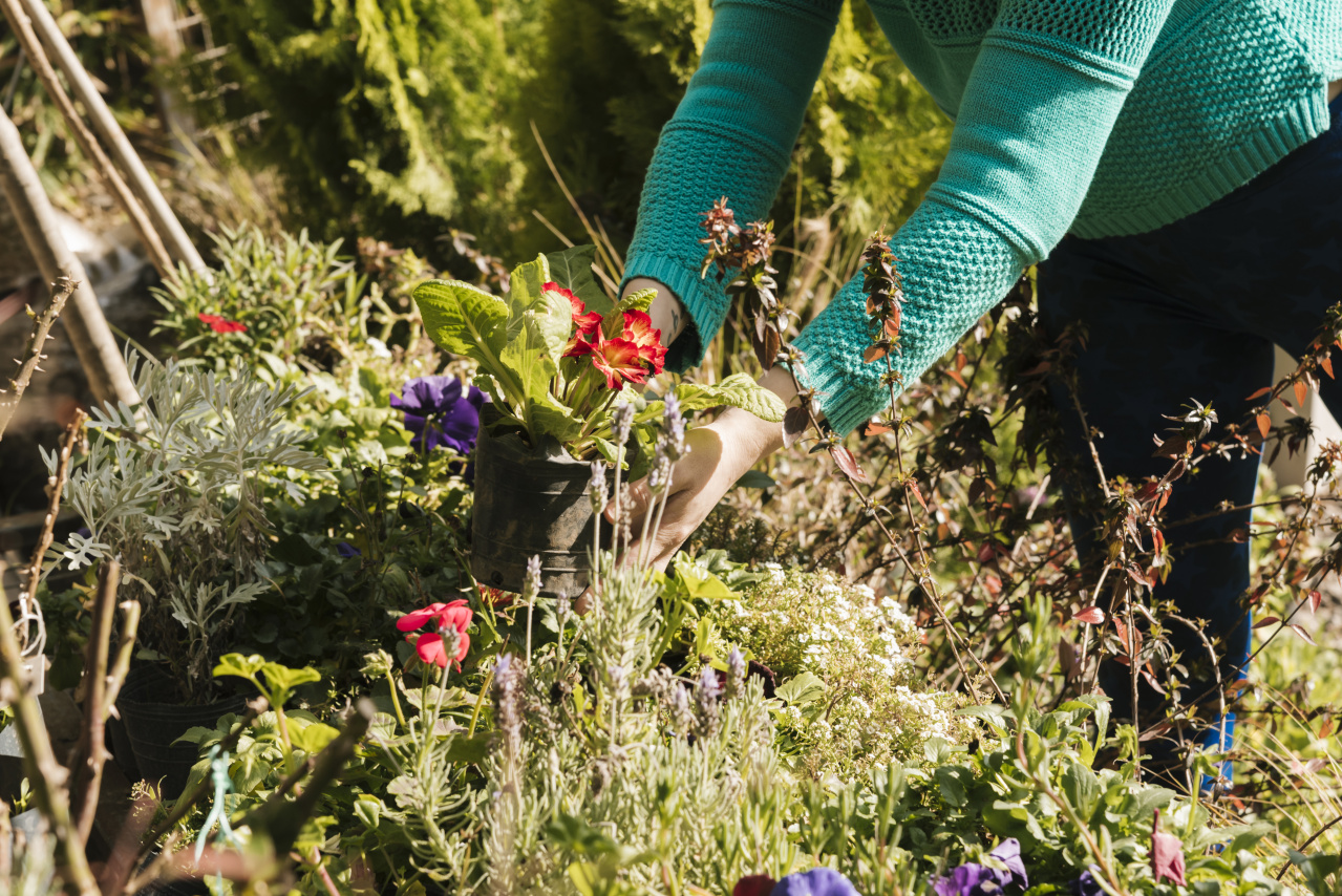 woman-cleaning-her-garden-sunny-day.jpg